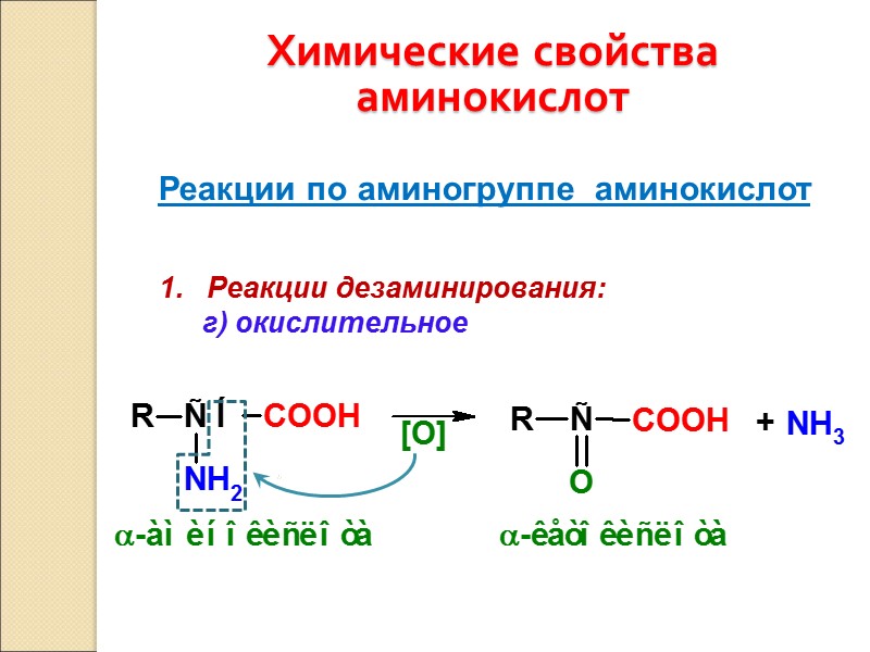 Химические свойства аминокислот Реакции по аминогруппе  аминокислот 1.   Реакции дезаминирования: 